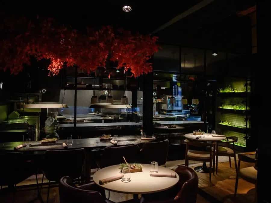 Luxury Restaurants in Argentina: Prices, Menus & Booking Tips