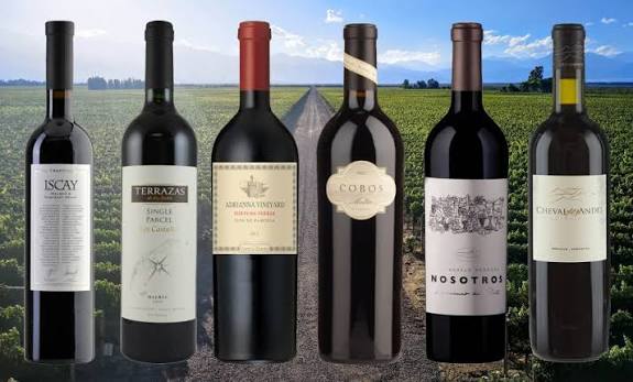 Best Argentine Wines to Order at Restaurants (Malbec and Beyond)